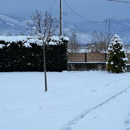 Galini Estate Kardítsa Exterior foto